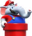 Elephant Mario in a red Warp Pipe