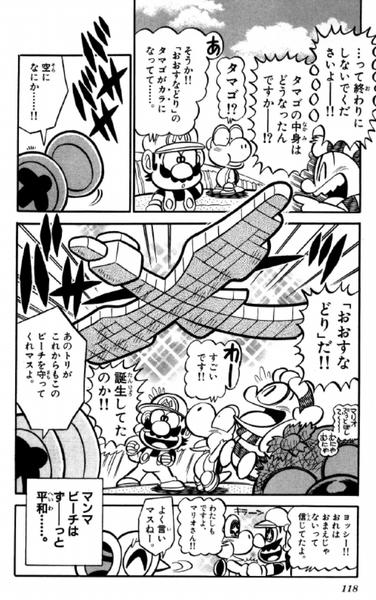 File:SMKun 30 Sand Bird.png