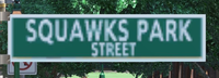 SMO Shot - Squawks Park Street.png