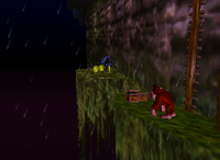 A set of yellow Banana Coins in Creepy Castle.