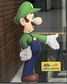 Luigi presenting something (flipped)