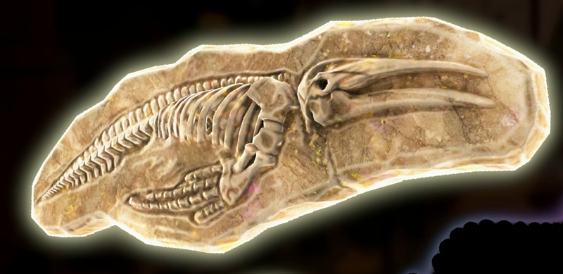 File:DKB Fossil Whale.png