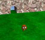 Micro-Goomba.png