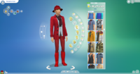 Everyday: Your "normal" outfit for your Sim. Basically what they wear by default.
