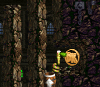 The DK Coin location of Toxic Tower in Donkey Kong Country 2: Diddy's Kong Quest