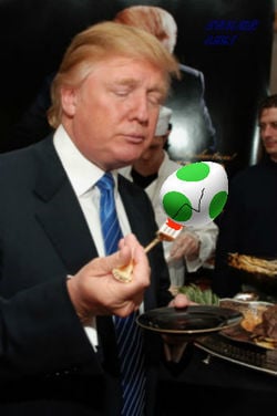 Stop Trump from stealing Eggs!