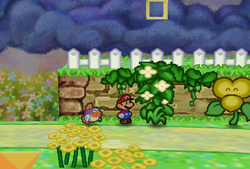 Mario finding third Stinky Herb in Flower Fields of Paper Mario.