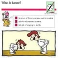 Karate quiz card.jpg