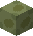Green Concrete
