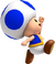 Blue Toad in the New Super Mario Bros Series