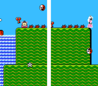 The killing Phanto glitch from Super Mario Bros. 2