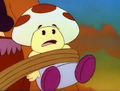 Toad's miscolored vest