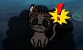 Jimmy T encountering the cat
