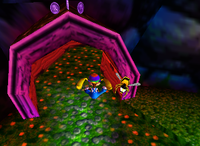 A set of purple Banana Coins in Fungi Forest.