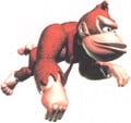 Donkey Kong Country