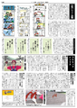 A newspaper called Mario Shinbun, made by editorial department of Famitsū in order to support the game's release in Japan