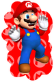 Mario & Sonic at the Olympic Winter Games (Nintendo DS)