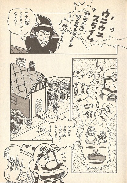 File:Mario and friends shrunk SML21.jpg